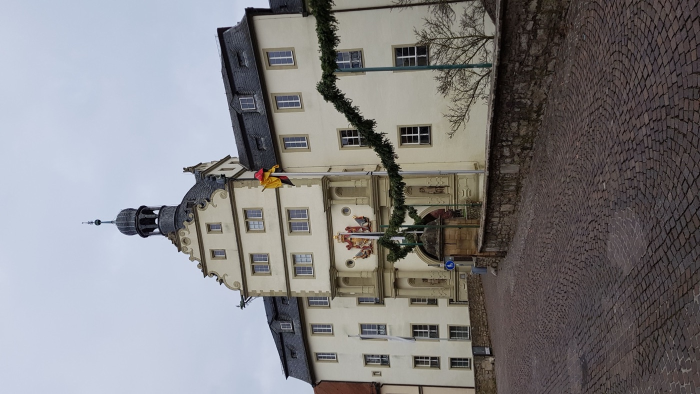 Deutschordensschloss – Geschichte & Park kombiniert