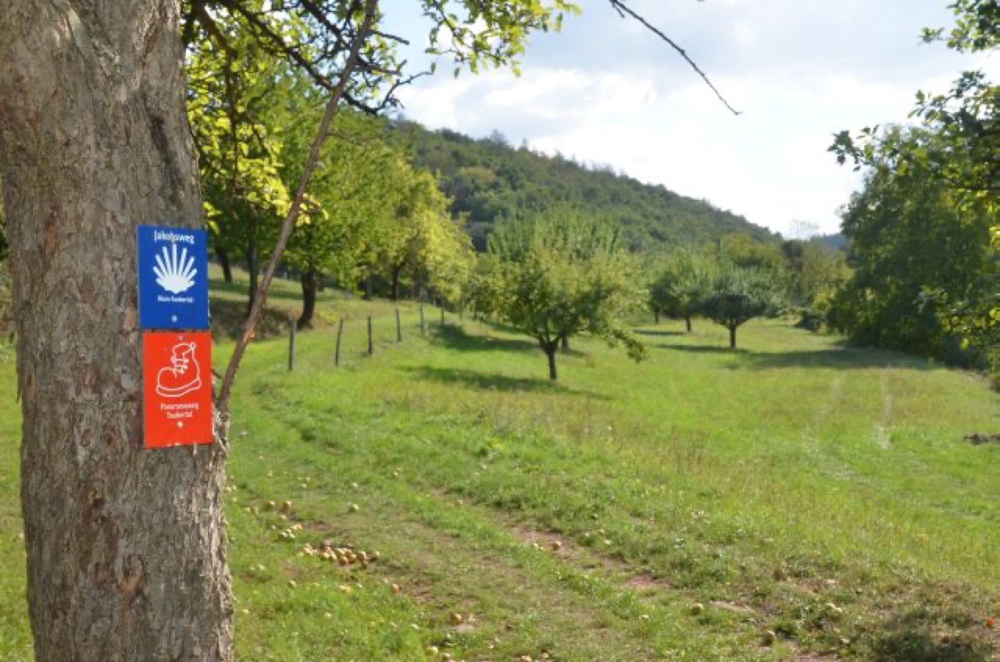 Taubertal-Radweg – Entspannt durch die Natur