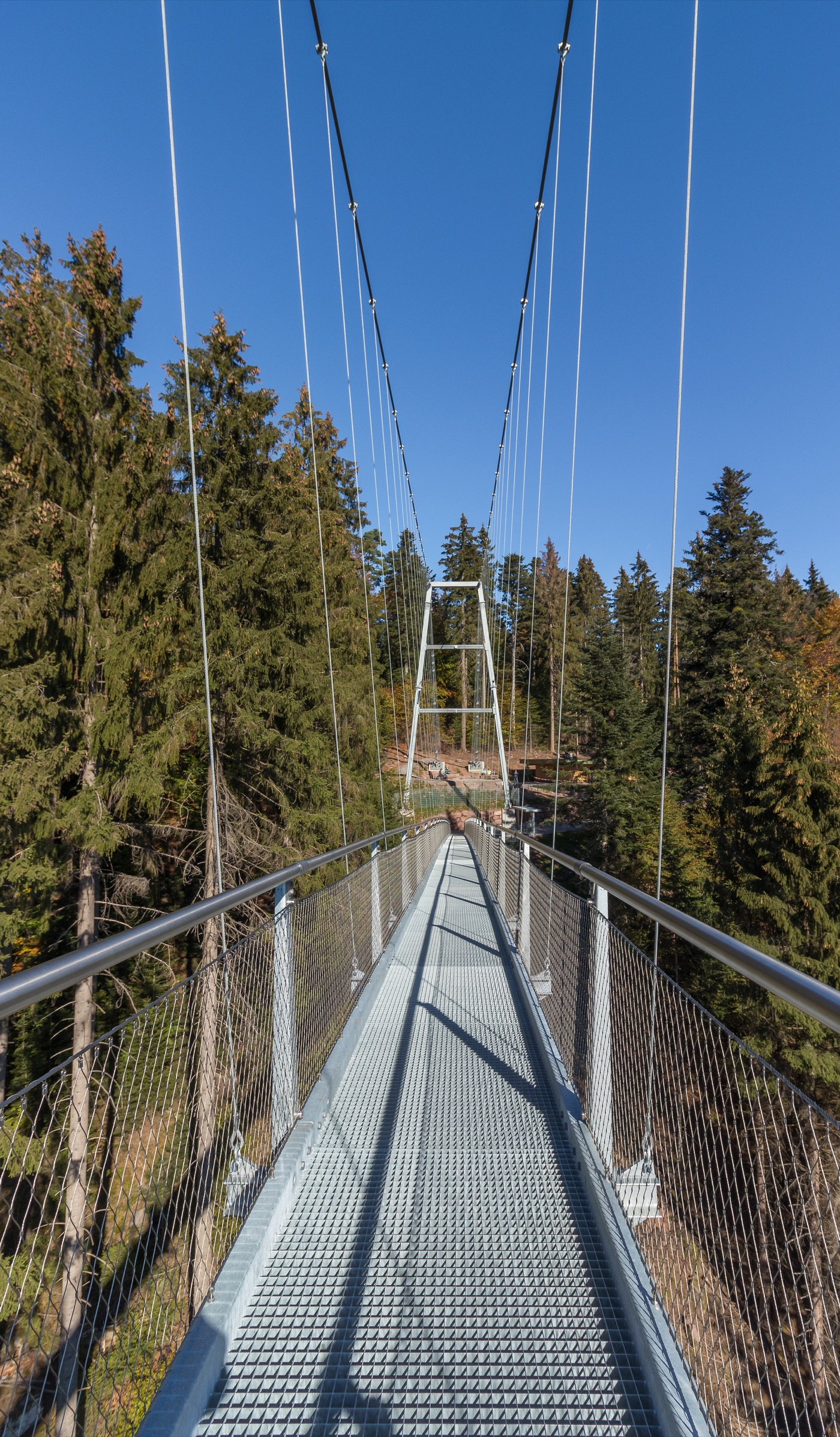 WildLine Hängebrücke – Nervenkitzel über dem Schwarzwald